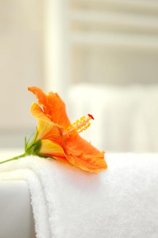 Hotel Le Clos Roussillon Pres De Sarlat 维塔克 客房 照片
